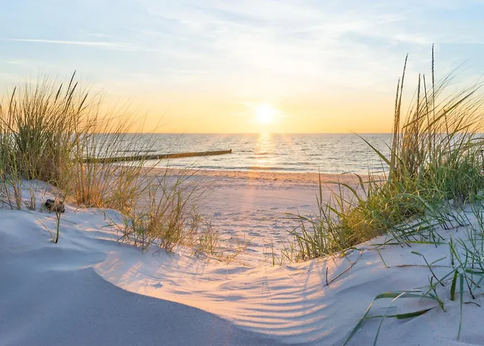 Meeresbrise, Beatrice Binz